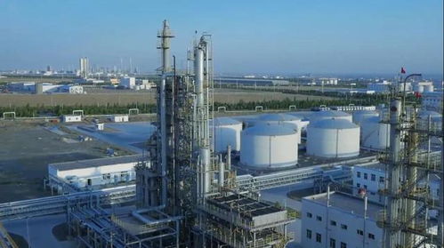 砥礪奮進(jìn)五年間 奎屯—獨(dú)山子經(jīng)濟(jì)技術(shù)開發(fā)區(qū)榮獲兩項(xiàng)國家級殊榮，技術(shù)轉(zhuǎn)讓成果顯著