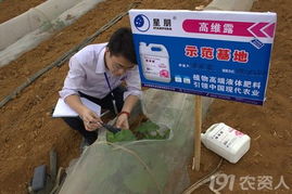 英雄帖——北京星朋公司誠邀技術開發精英加盟